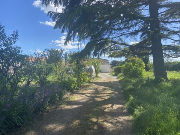 Maison charentaise Cozes 275 m²