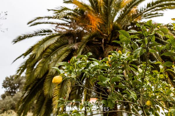 Villa des années 60 revisitée dans un écrin de verdure, plage à pied