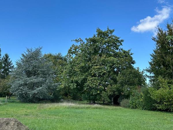 Maison 7 PIECES d'environ 150 m2 + Studio indépendant, terrain 2963 m2, au calme - Proche MONTARGIS & Canal d''Orléans