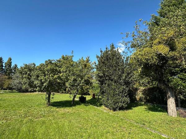 Maison 7 PIECES d'environ 150 m2 + Studio indépendant, terrain 2963 m2, au calme - Proche MONTARGIS & Canal d''Orléans