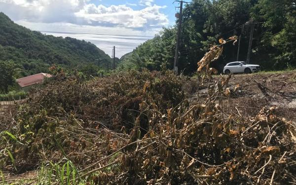 Terrain à vendre    Case-Pilote