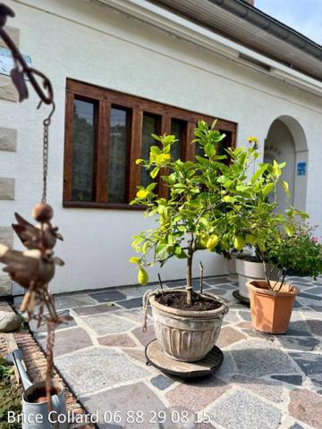 60290 CAUFFRY Grande maison familiale 6 chambres sur sous-sol total + 2 garages