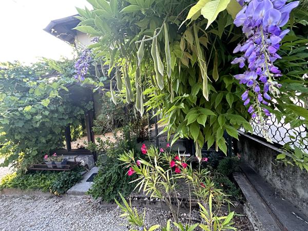 5' de VOIRON Maison 4 chambres, grand terrain, atelier