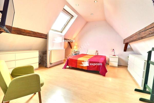 vente Maison Osthouse 8 pièce(s) 190 m2 habitable plus des dépendances sur 7.40 ares