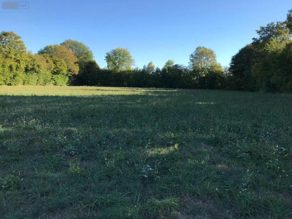 Achat - Terrain à bâtir | Terrain à bâtir Beaufay 72110 7630 m 2