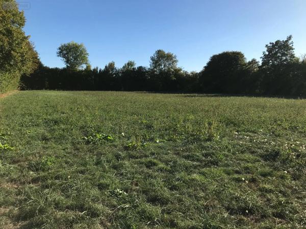 Achat - Terrain à bâtir | Terrain à bâtir Beaufay 72110 7630 m 2