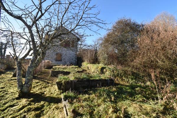 À Vendre : Maison de campagne avec étang et terrain de plus de 8000m² – Saint-Agnan-de-Versillat
