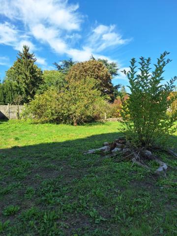 Terrain constructible