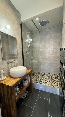 Saint-Étienne (42000) Appartement duplex de 117m2 habitables avec une très belle terrasse sur toit