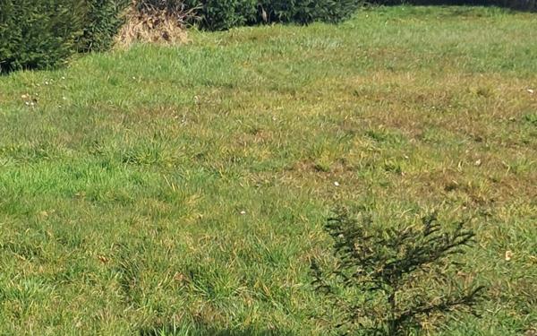 Terrain à vendre    Saint-Jean-de-Braye