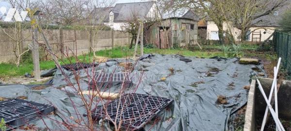 LA GUERCHE DE BGNE - Maison avec dépendances et terrain