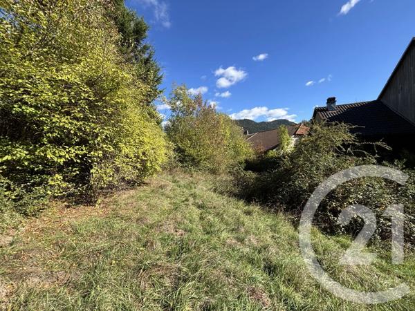 Maison à vendre  11 pièces - 290 m 2   MOUSSEY  - 88