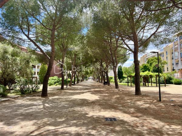 *** À BÉZIERS *** Quartier LE CARRÉ D'HORT***

Découvrez cet appartement chaleureux au 2° étage sur 4 situé dans un immeuble avec ascenseur au sein d'une copropriété bien entretenue de 2012.

Cet appartement de 47 m² offre un agencement optimisé, il se compose d'une entrée avec visiophone, d'une pièce de vie lumineuse avec sa cuisine ouverte et un accès au balcon, d'une chambre spacieuse avec un grand placard 3 portes, d'une salle d'eau avec douche, WC et sèche serviettes.

L'appartement est entièrement équipé de volets roulants électriques.

Ce bien est idéal pour un investisseur ou pour une résidence principale.

Des places de parking non nominatives sont disponibles dans la résidence.

Profitez d'un accès rapide aux commodités urbaines, aux écoles, aux crèches et aux transports.

Conseillère disponible 7j/7, j'organise votre visite. A vos téléphones !