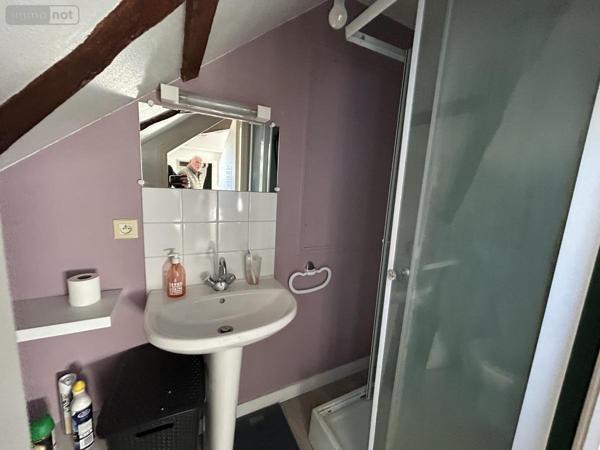 Immeuble à vendre à Saint-Berthevin en Mayenne (53940), ref : 53006-1318