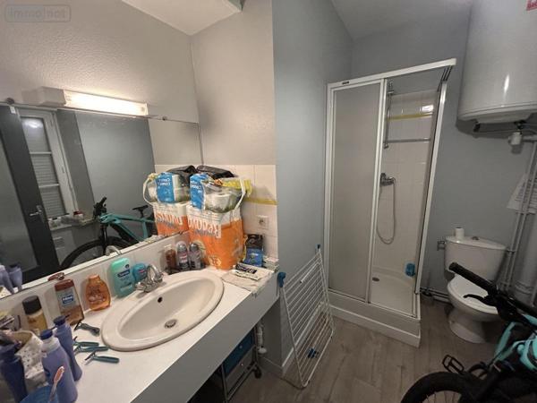 Immeuble à vendre à Saint-Berthevin en Mayenne (53940), ref : 53006-1318