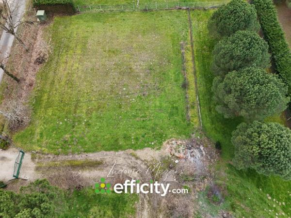 Terrain - 1732 m² Exclusivité efficity