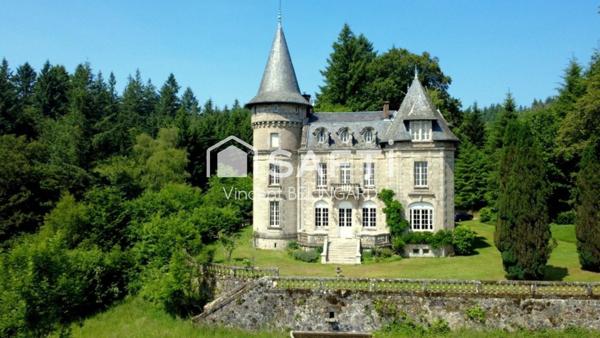 Château 15 pièces et 3 Gîtes indépendants avec piscine