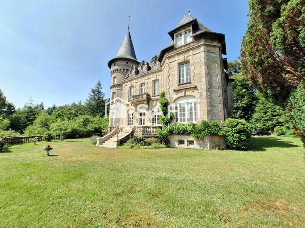 Château 15 pièces et 3 Gîtes indépendants avec piscine