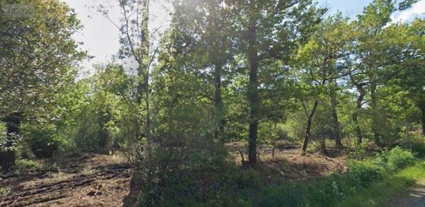 Terrain à Batir à vendre à Challans en Vendée (85300), ref : 85091-5150