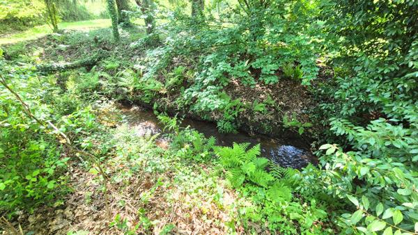 Fouesnant (29170) Fouesnant Maison de 9 pièces principales de 215 m²