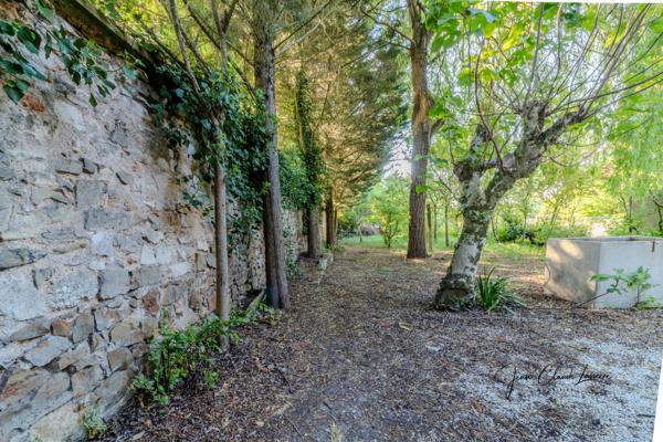 Maison 3 chambres avec jardin dans le quartier Saint-Martin