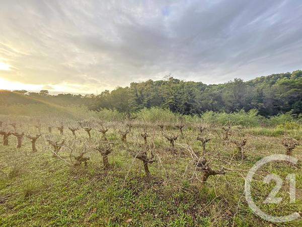 Terrain à vendre  19970 m2 ST NAZAIRE - 30