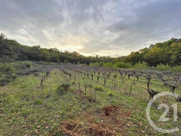 Terrain à vendre  19970 m2 ST NAZAIRE - 30