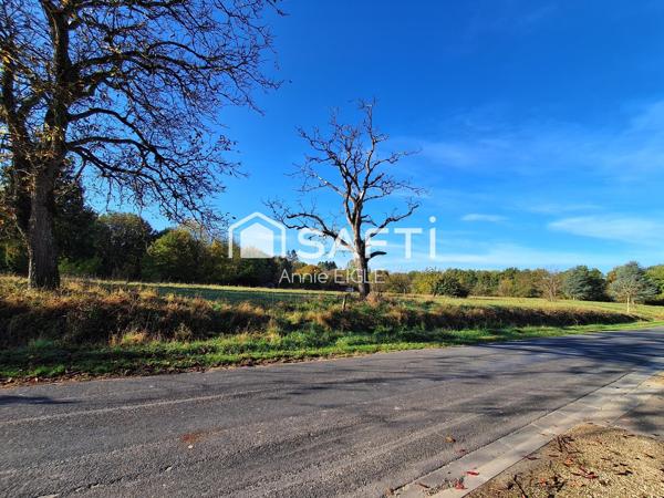 beaux terrains en sortie de village