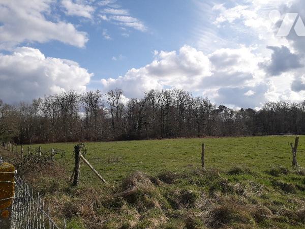 CHARMANTE LONGERE AU CALME DANS LA CAMPAGNE DE CONTRES