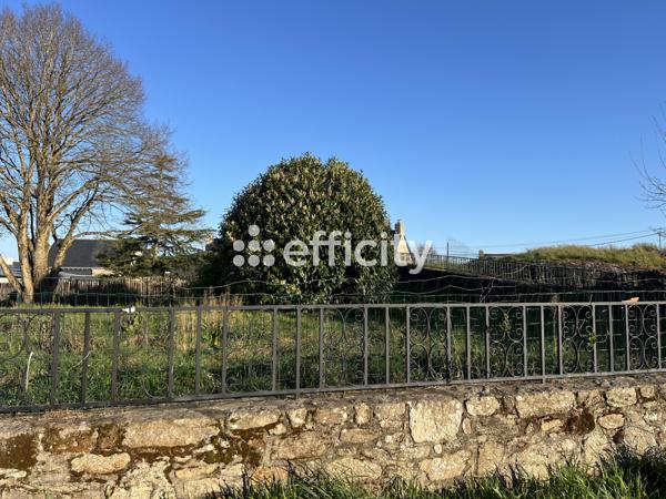 Terrain - 446 m²