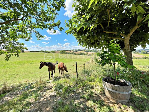 Propriete equestre de 280 m²