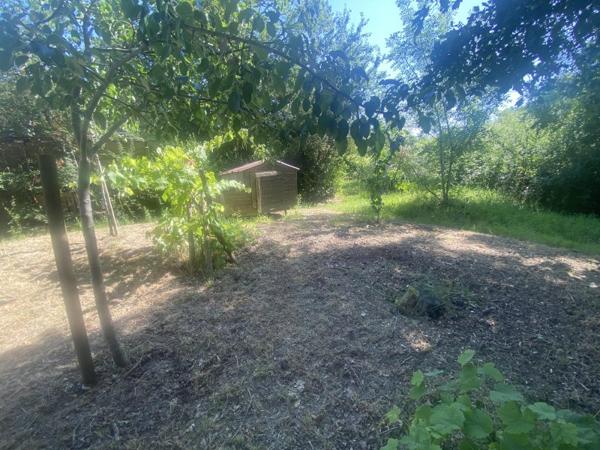 Location / Maison
