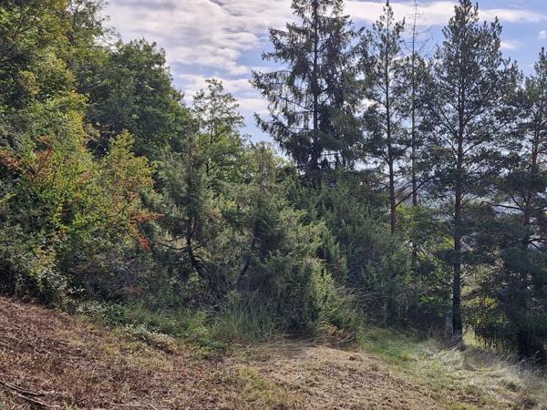 Vente Terrain 539 m2 à Lavelanet