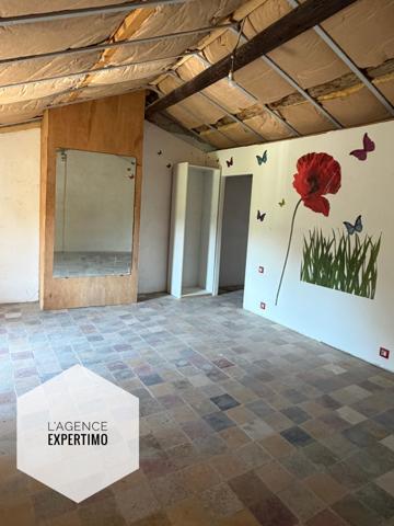 Courthézon (84350) Propriété avec activité de pension animale