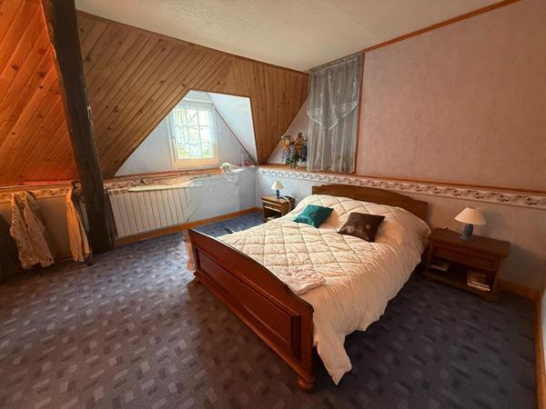 Maison Villeneuve Sur Allier 5 pièce(s) 220 m2