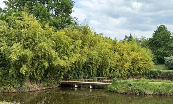 Maison Villeneuve Sur Allier 5 pièce(s) 220 m2