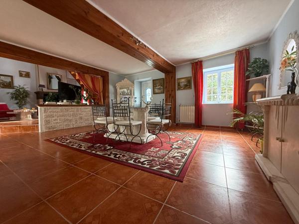 Maison Villeneuve Sur Allier 5 pièce(s) 220 m2