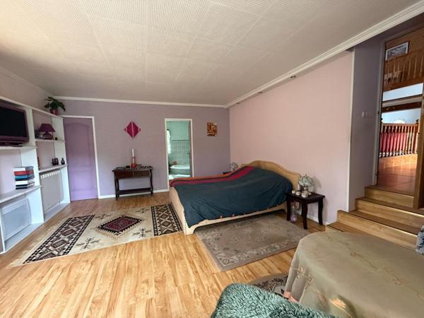 Maison Villeneuve Sur Allier 5 pièce(s) 220 m2