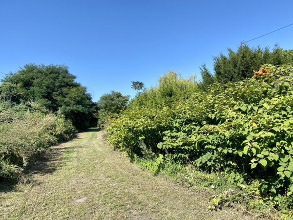 Vente murs / Terrain activité
