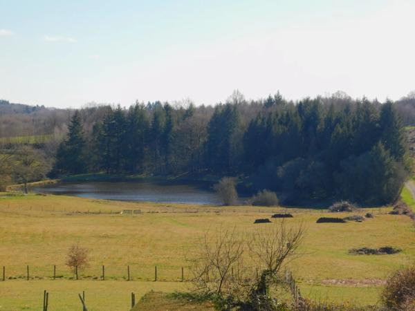 Superbe conversion de grange, deux gîtes, étang de 6 hectares