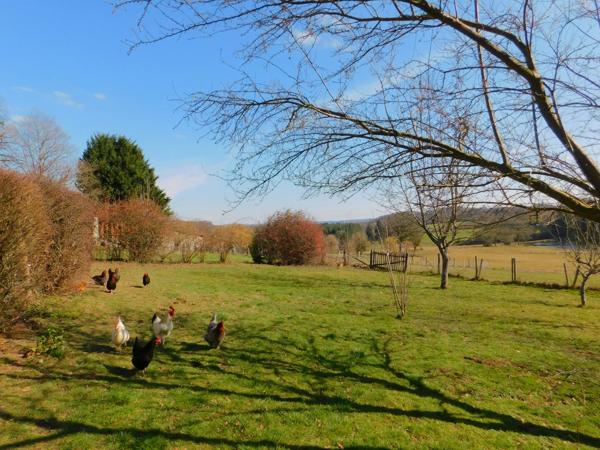 Superbe conversion de grange, deux gîtes, étang de 6 hectares