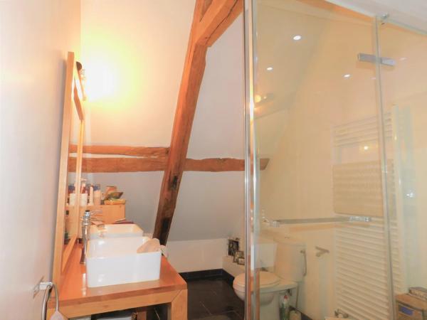 Superbe conversion de grange, deux gîtes, étang de 6 hectares