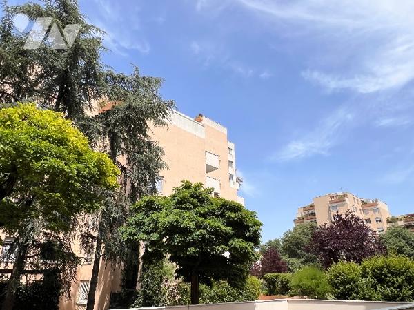 T3 climatisé de 75 m² avec beau balcon au coeur des Gratte-Ciel.