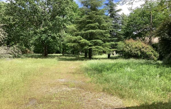 SOUS COMPROMIS Maison de maître des années 1900 sur parcelle arborée de plus de 3900 m2 - 5 chambres