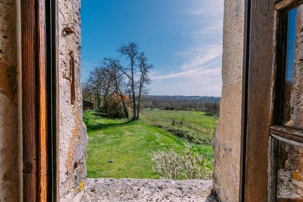 Maison forte médiévale avec vignoble biodynamique