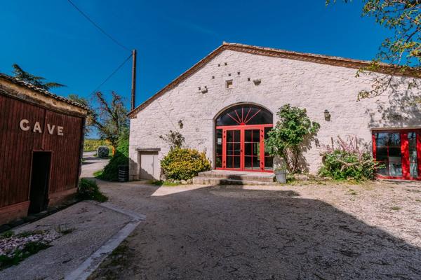 Maison forte médiévale avec vignoble biodynamique