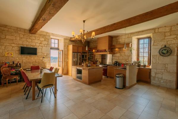 Maison forte médiévale avec vignoble biodynamique