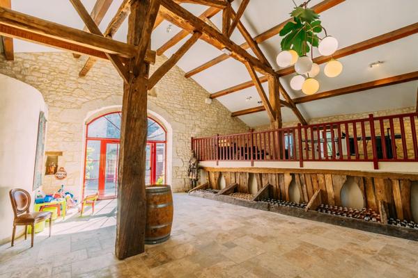 Maison forte médiévale avec vignoble biodynamique