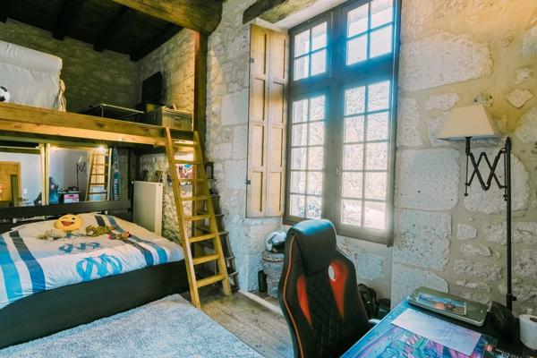 Maison forte médiévale avec vignoble biodynamique