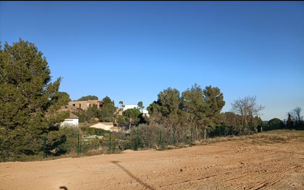 Lézignan-Corbières (11200) Dernier terrain constructible et viabilisé dans le quartier de la pinède à Lézignan-Corbières